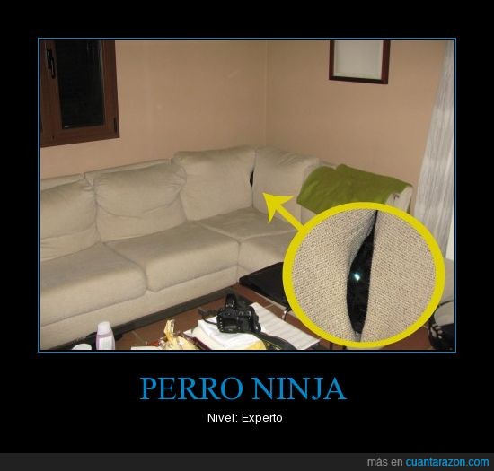 sofa,perro,ninja,javi